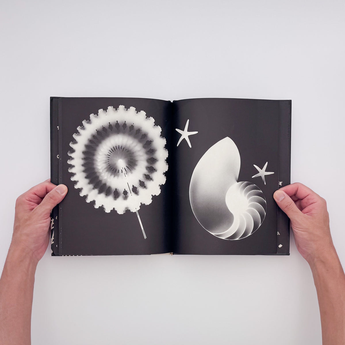 Tana Hoban『Shapes and Things』。身近な物をフォトグラムで白黒の形として捉えた、1970年Macmillan刊の言葉のない写真絵本。