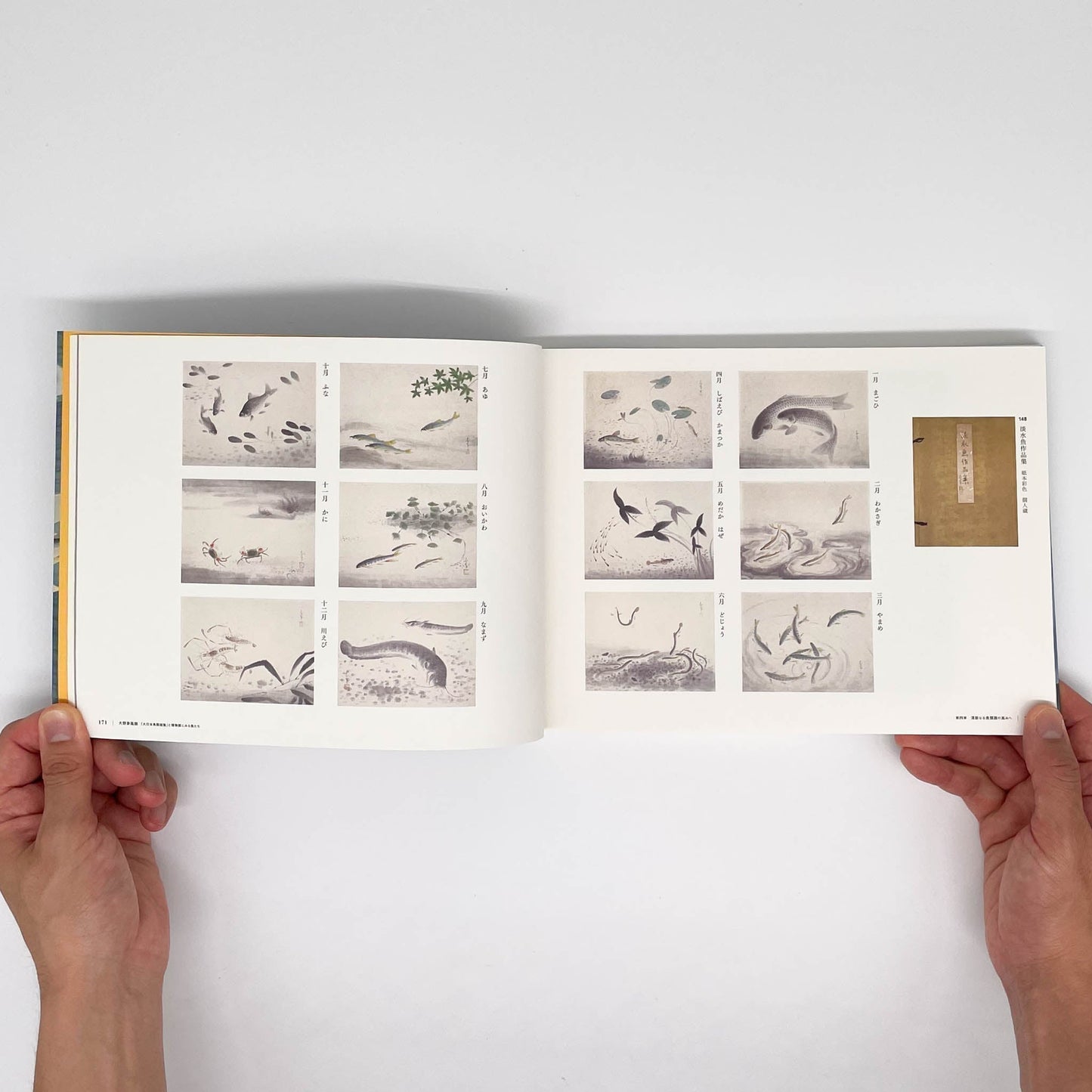 大野麥風展 「大日本魚類画集」と博物画にみる魚たち - 東京ステーションギャラリー - 文福