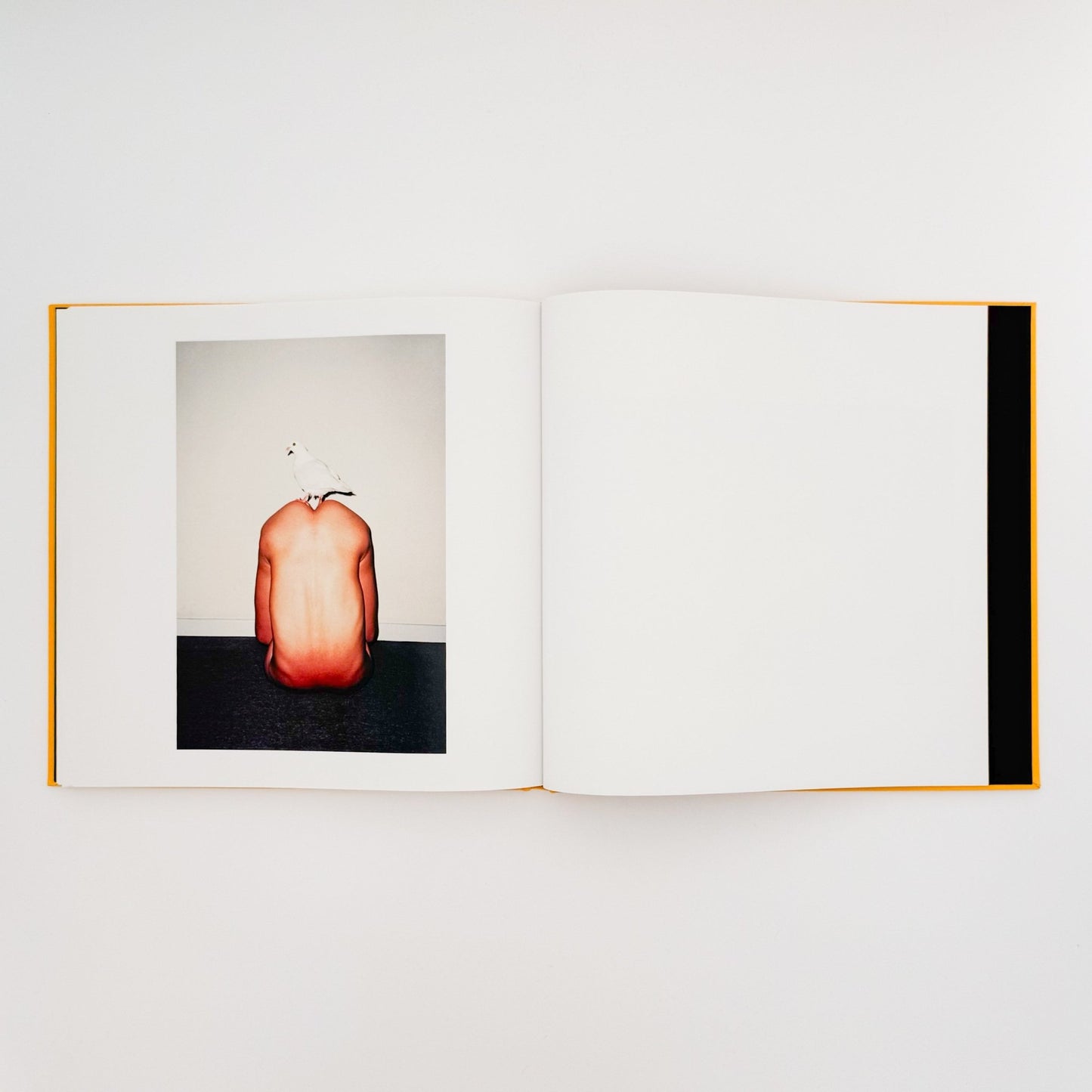 任航 : Ren Hang Republic - Editions du LIC - 文福