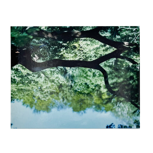 鈴木理策 Water Mirror(サイン入り) - Case Publishing - 文福
