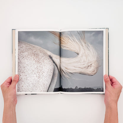 遠藤文香: ENDO Ayaka『Pneuma』roshin books刊行、遠野の馬と風景を撮影した写真集