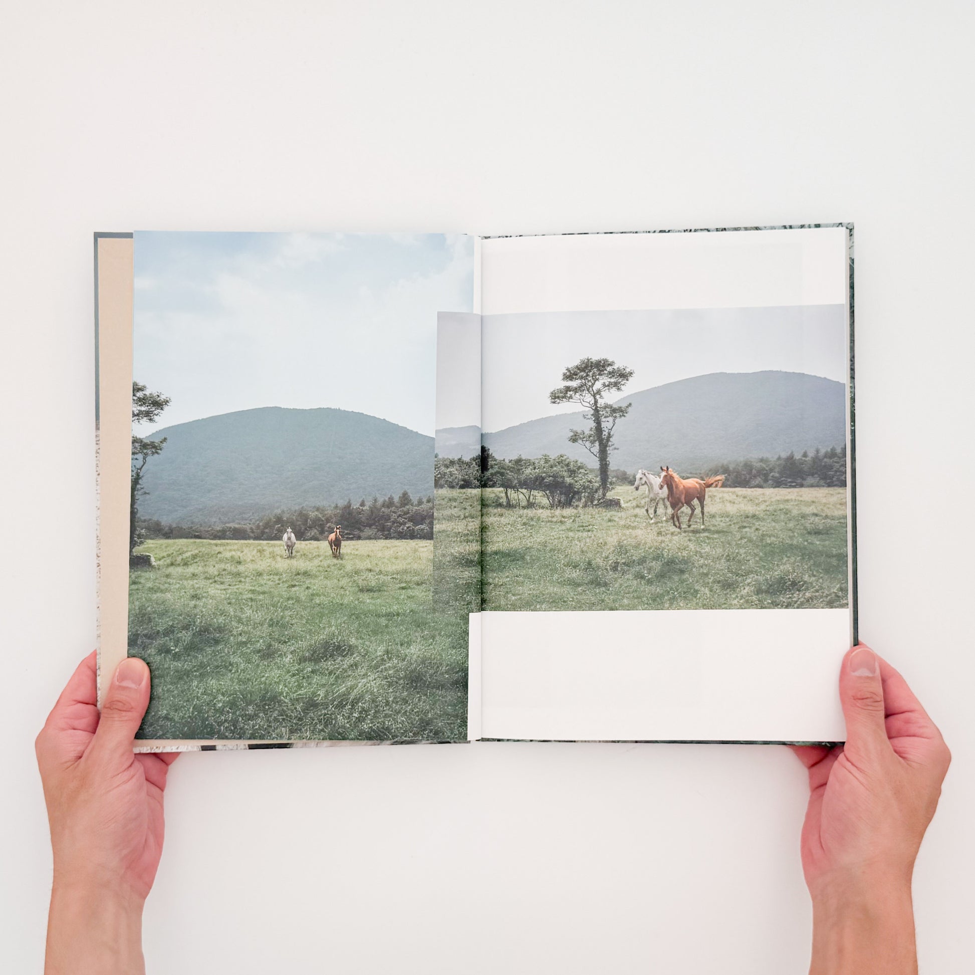 遠藤文香: ENDO Ayaka『Pneuma』roshin books刊行、遠野の馬と風景を撮影した写真集