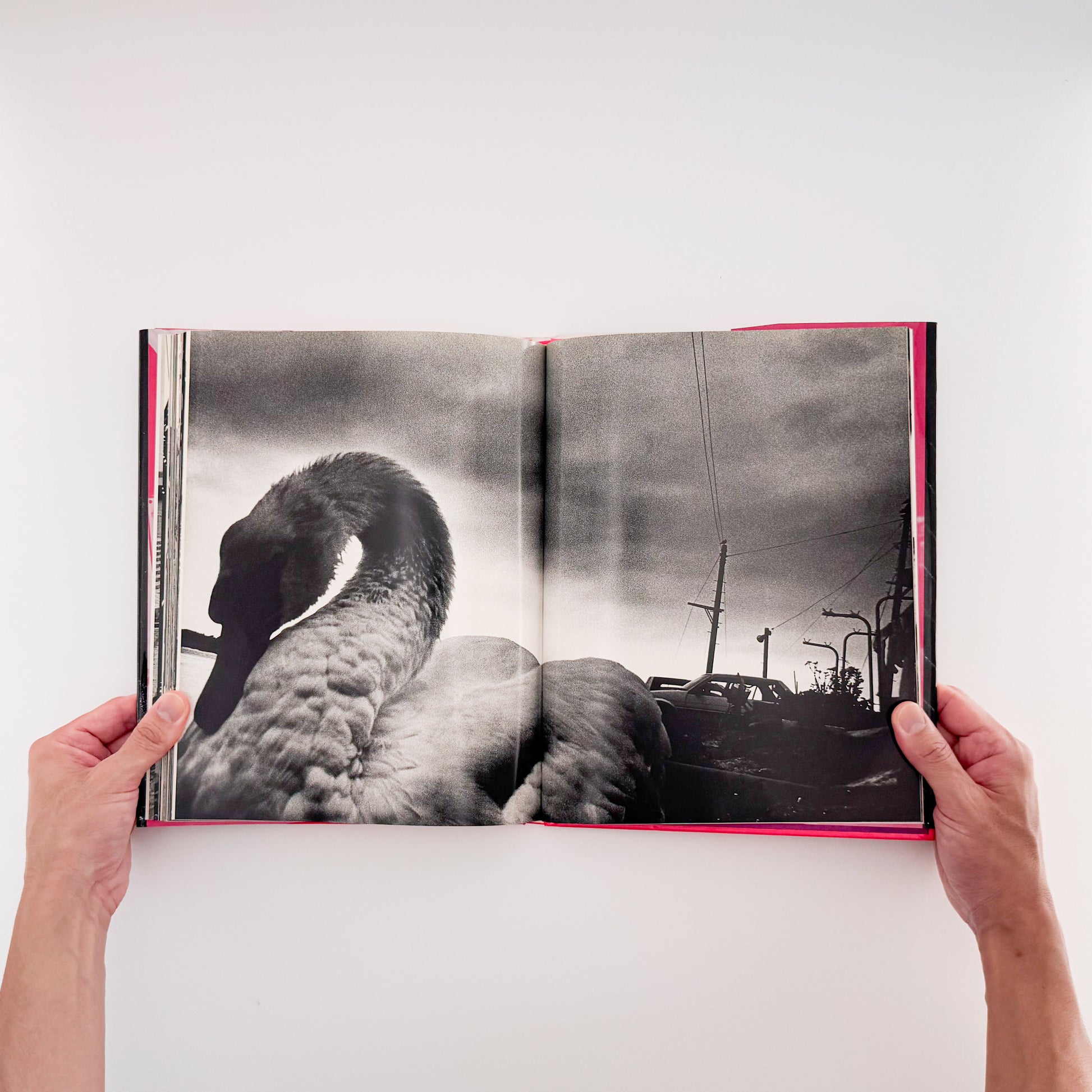 楢橋朝子『NU・E / NARAHASHI Asako PHOTOGRAPHS 1992-1997』蒼穹舎刊行、03FOTOSで発表された初期モノクローム作品を収録した写真集