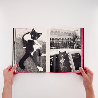 楢橋朝子『NU・E / NARAHASHI Asako PHOTOGRAPHS 1992-1997』蒼穹舎刊行、03FOTOSで発表された初期モノクローム作品を収録した写真集