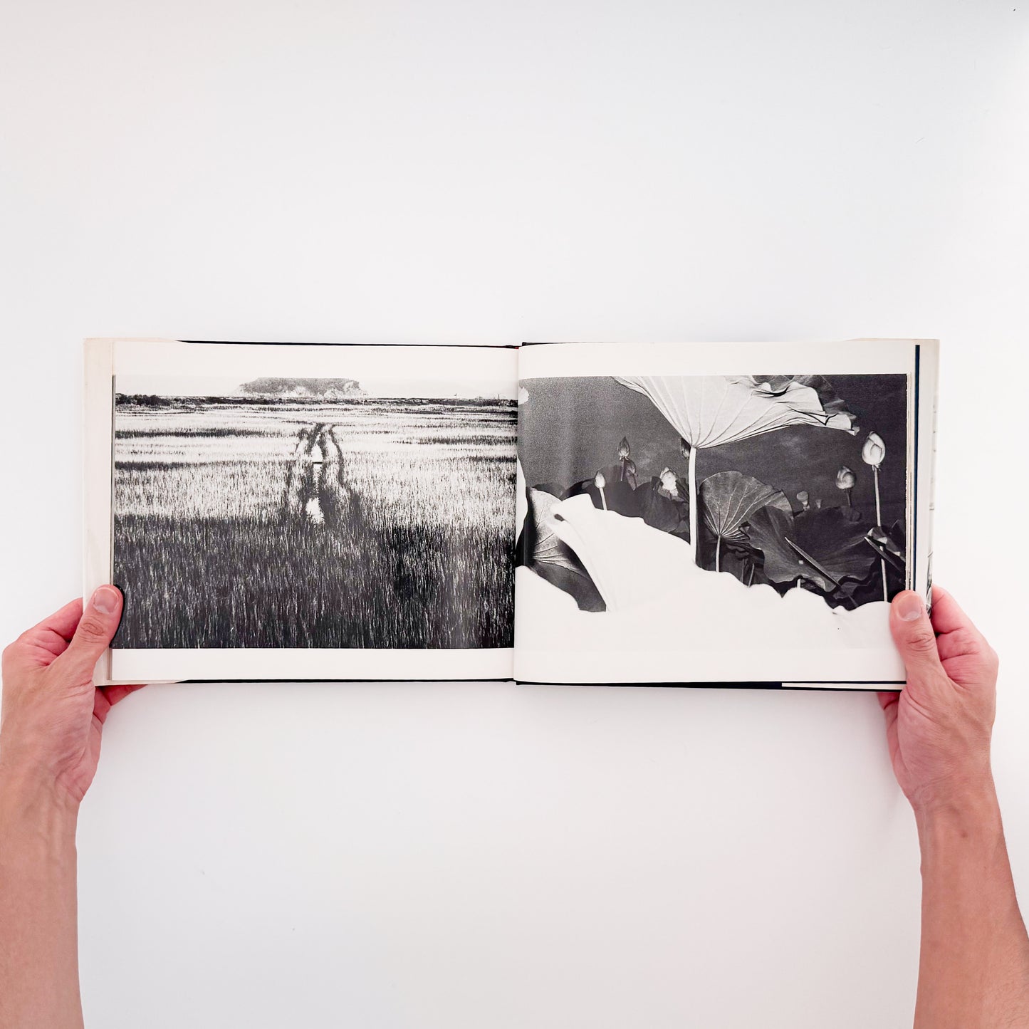 矢口保二: YAGUCHI Yasuji 『風』現代写真研究所刊行、徳島の写真家による没後刊行写真集