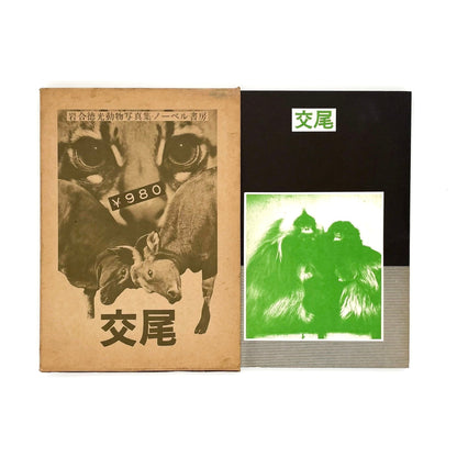 岩合徳光 交尾 -ノーベル書房- 文福