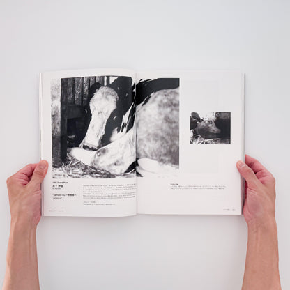 写真新世紀 30年の軌跡　写真ができること、写真でできたこと