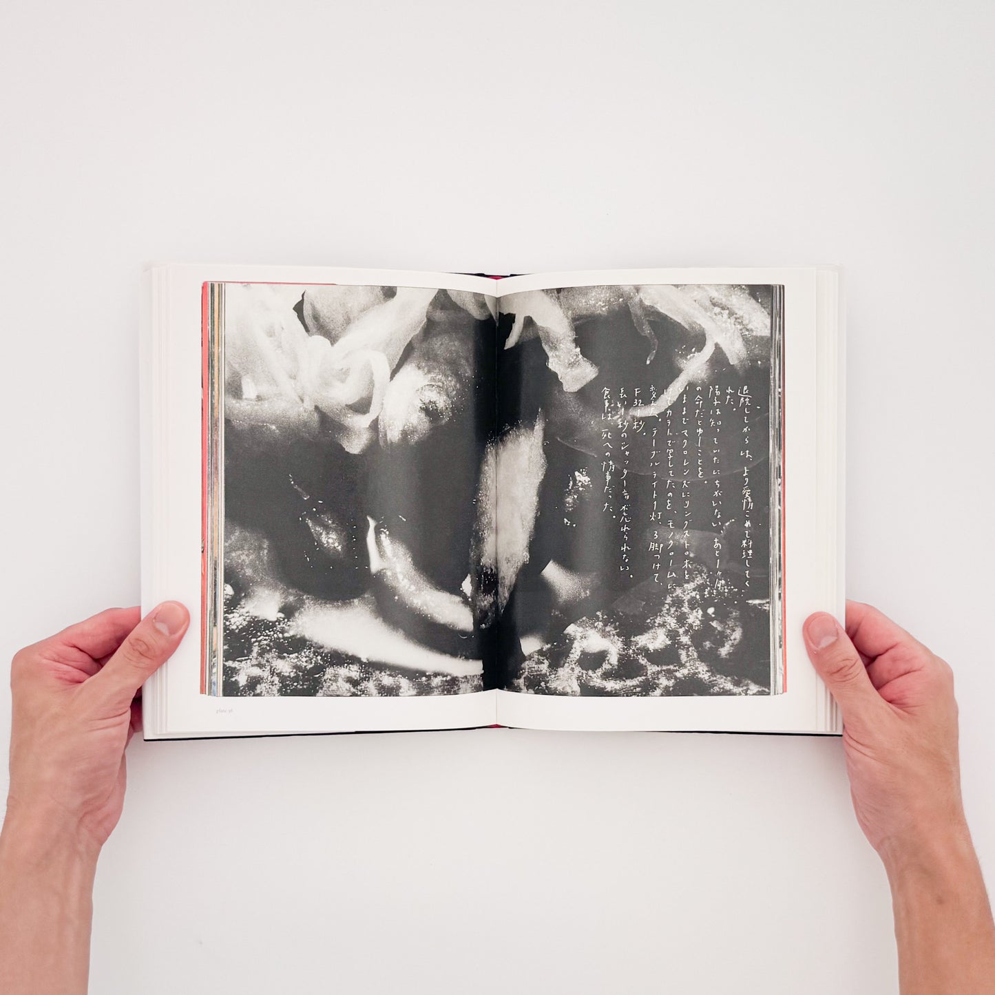 荒木経惟 / ARAKI Nobuyoshi『The Banquet』1993年刊行の写真集『食事』を全ページ複写収録したErrata Editions Books on Books #15