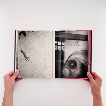 楢橋朝子『NU・E / NARAHASHI Asako PHOTOGRAPHS 1992-1997』蒼穹舎刊行、03FOTOSで発表された初期モノクローム作品を収録した写真集