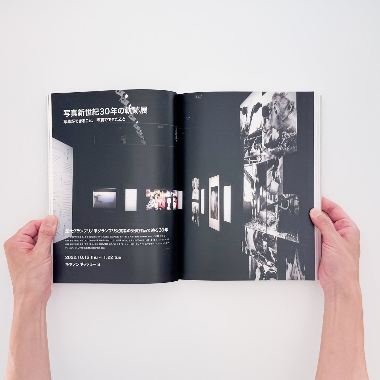 写真新世紀 30年の軌跡　写真ができること、写真でできたこと