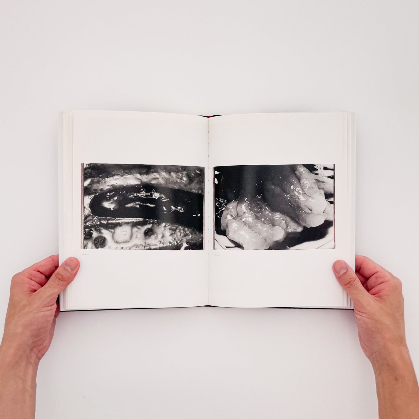 荒木経惟 / ARAKI Nobuyoshi『The Banquet』1993年刊行の写真集『食事』を全ページ複写収録したErrata Editions Books on Books #15