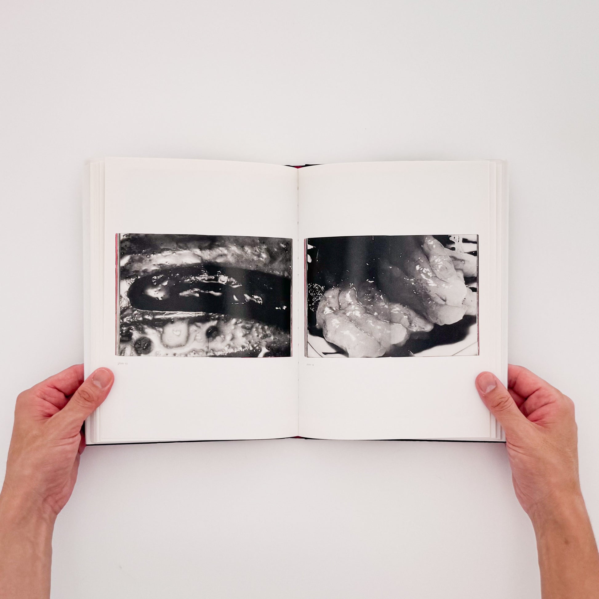 荒木経惟 / ARAKI Nobuyoshi『The Banquet』1993年刊行の写真集『食事』を全ページ複写収録したErrata Editions Books on Books #15