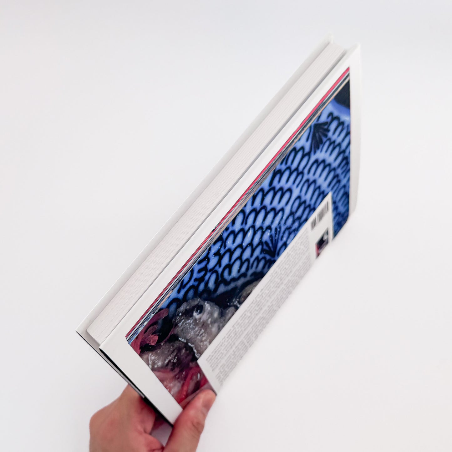 荒木経惟 / ARAKI Nobuyoshi『The Banquet』1993年刊行の写真集『食事』を全ページ複写収録したErrata Editions Books on Books #15