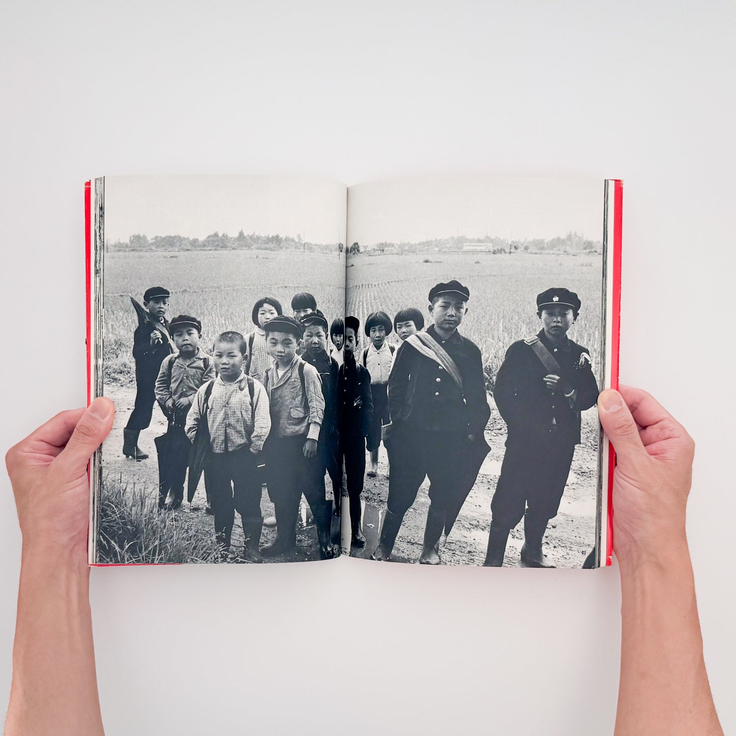 Akita: Nikon Salon Books 4