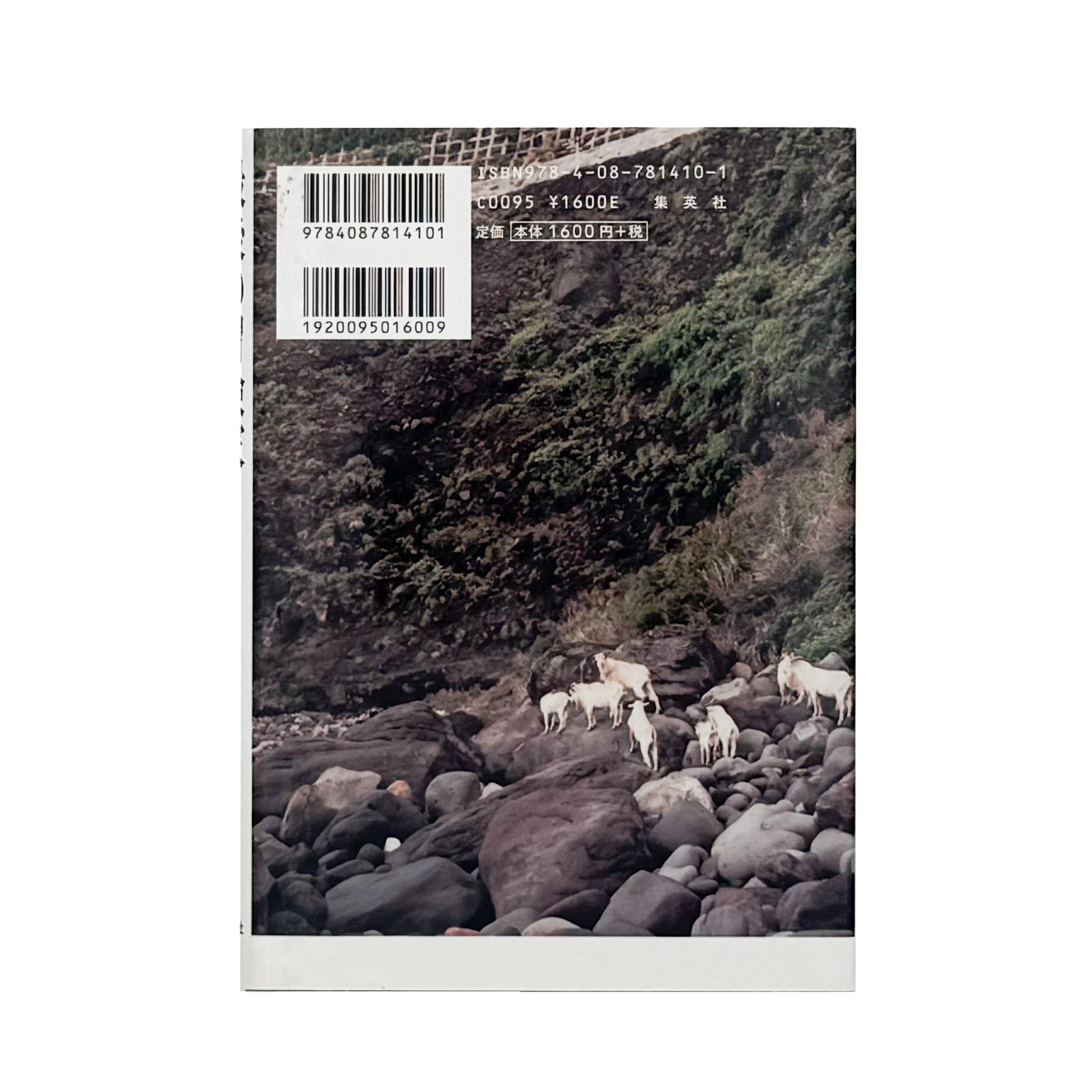 ISHIKAWA Naoki / 石川直樹『最後の冒険家』熱気球で太平洋横断に挑み、2008年に消息を絶った神田道夫との4年半を記録した、集英社刊・サイン入りのノンフィクション。