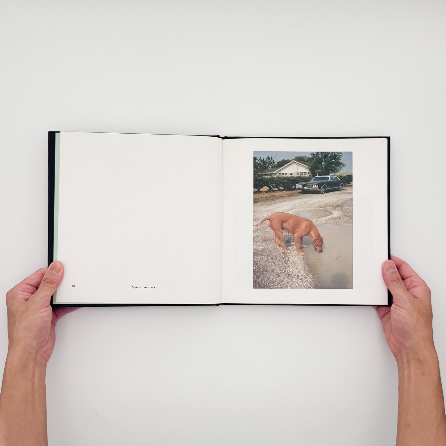 William Eggleston『William Eggleston's Guide』。1969年から1971年にメンフィス周辺で撮影したカラー写真48点を収録した、MoMA刊1976年版の2002年復刻版。