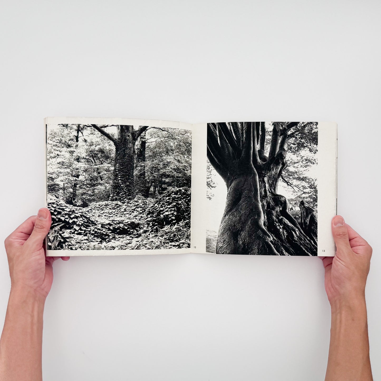 新山清『木石の詩』。枯木や石、風景など40図版と、植田正治、濱谷浩、緑川洋一らによる寄稿を収録した1970年刊行の遺作写真集。