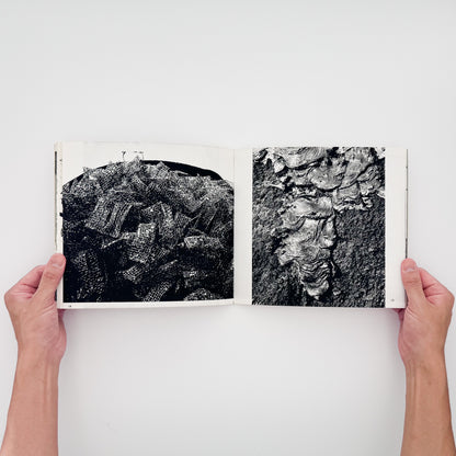 新山清『木石の詩』。枯木や石、風景など40図版と、植田正治、濱谷浩、緑川洋一らによる寄稿を収録した1970年刊行の遺作写真集。