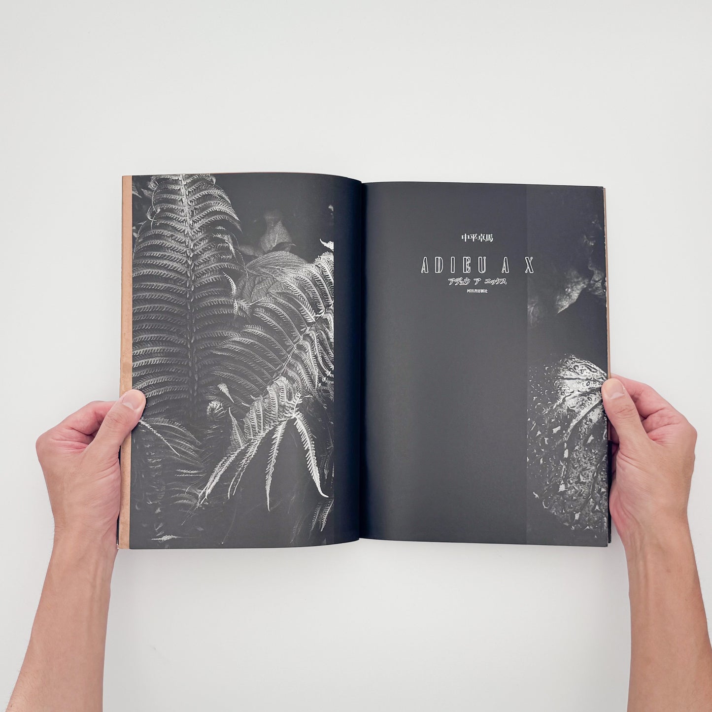 中平卓馬『ADIEU A X』。病後に再び続けた撮影によるモノクロ作品と自身のテキストを収録した、1989年河出書房新社刊の初版写真集。