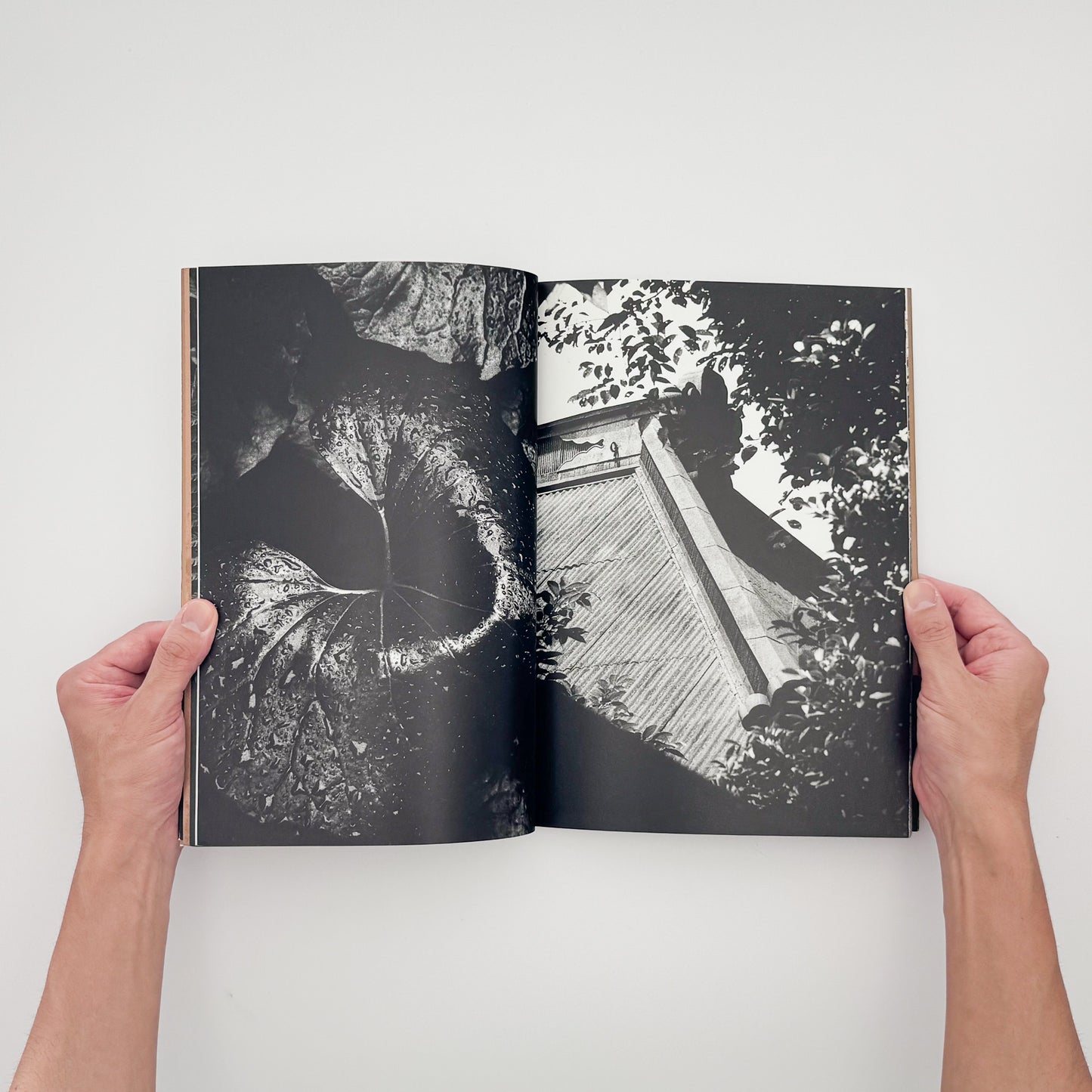 中平卓馬『ADIEU A X』。病後に再び続けた撮影によるモノクロ作品と自身のテキストを収録した、1989年河出書房新社刊の初版写真集。