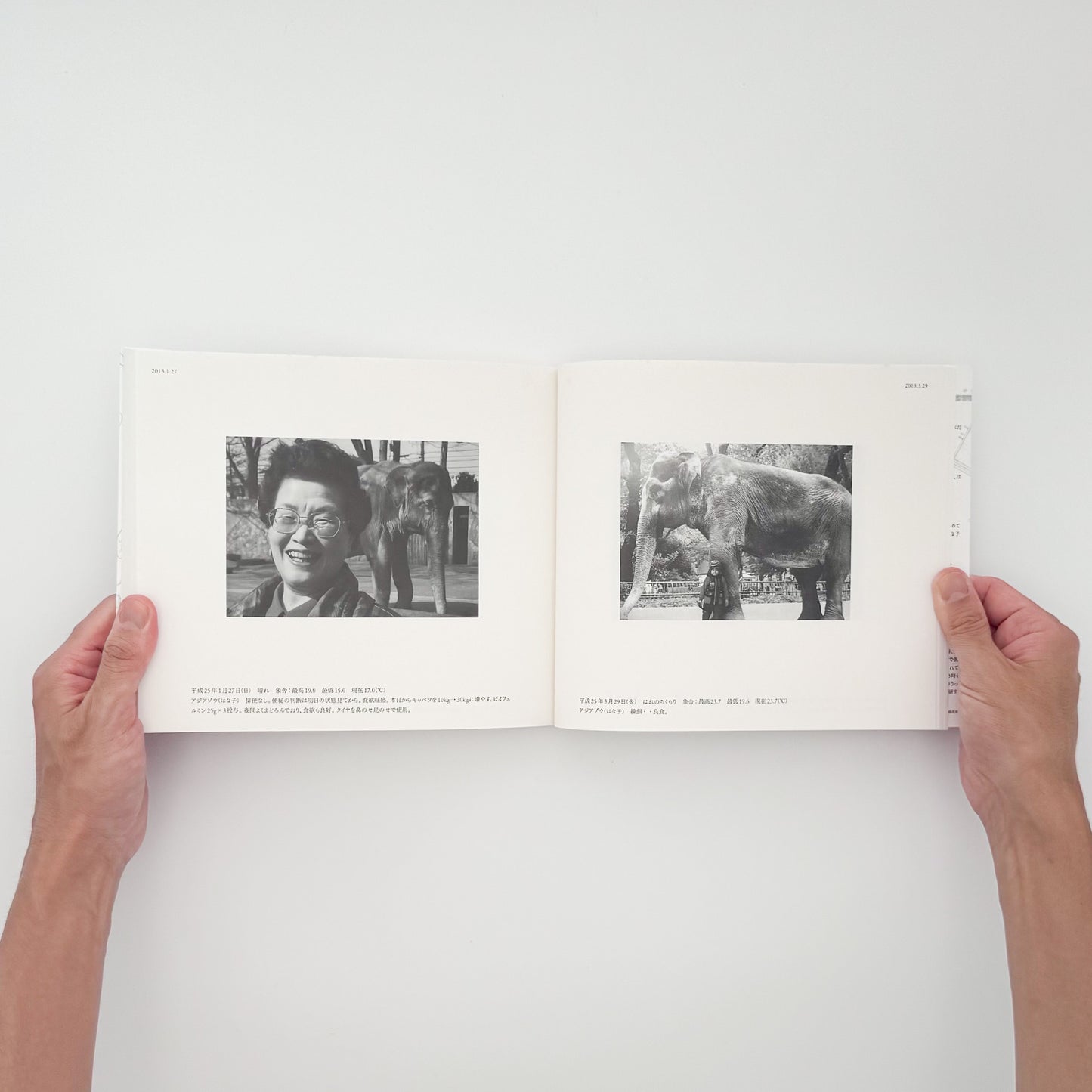 AHA!『はな子のいる風景 イメージを（ひっ）くりかえす』。井の頭自然文化園の象・はな子をめぐる市民の写真や記録を編んだ、2019年第2版第3刷の記録集。
