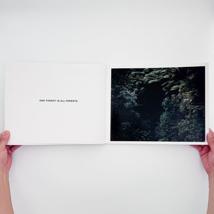 石川直樹『THE VOID』。マオリの聖地であるニュージーランド北島の原生林を撮影した、2005年ニーハイメディア・ジャパン刊の初版写真集。
