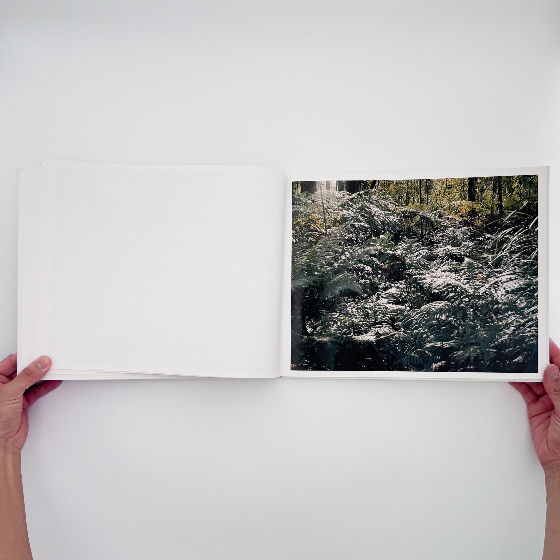 石川直樹『THE VOID』。マオリの聖地であるニュージーランド北島の原生林を撮影した、2005年ニーハイメディア・ジャパン刊の初版写真集。