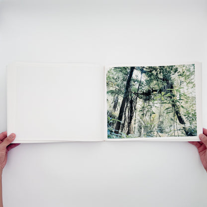 石川直樹『THE VOID』。マオリの聖地であるニュージーランド北島の原生林を撮影した、2005年ニーハイメディア・ジャパン刊の初版写真集。