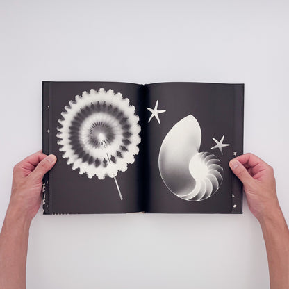 Tana Hoban『Shapes and Things』。身近な物をフォトグラムで白黒の形として捉えた、1970年Macmillan刊の言葉のない写真絵本。
