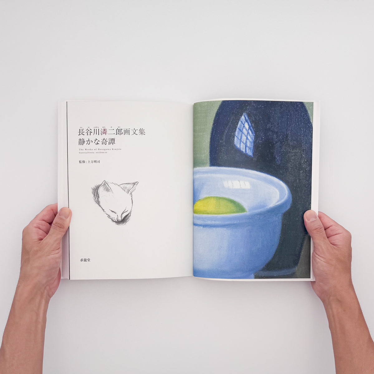 長谷川潾二郎『静かな奇譚』。油彩画、デッサン、随想などを収録した、2010年巡回展「長谷川潾二郎展　平明・静謐・孤高」の公式図録兼画文集。