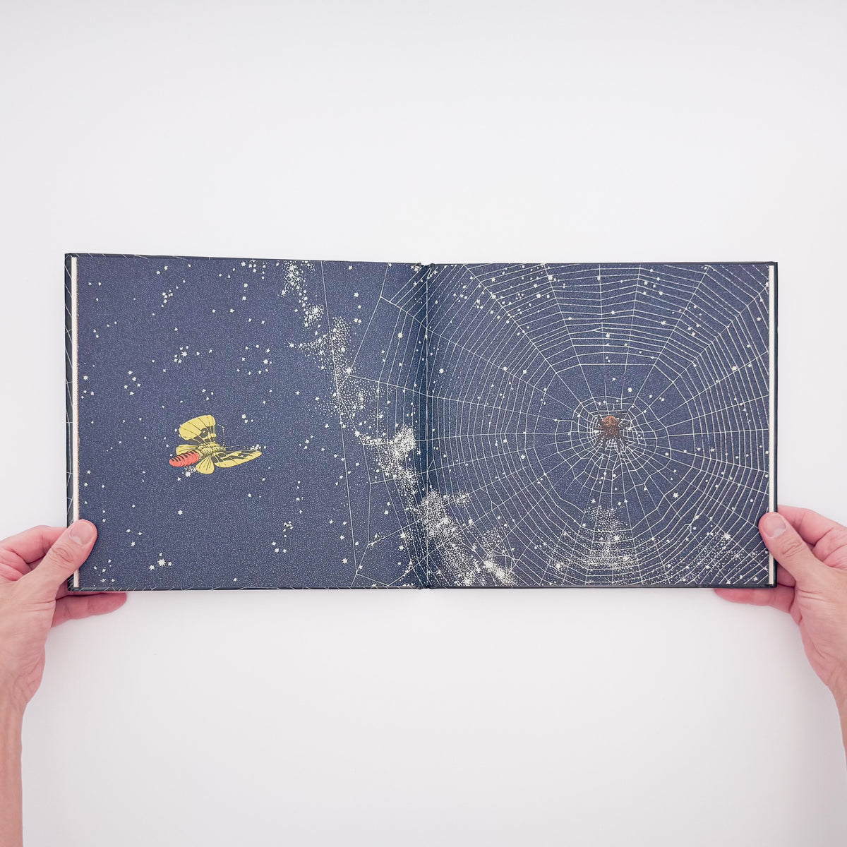新宮晋『くも / Spider』。オニグモの習性と時間の流れをトレーシングペーパーで表現した、文化出版局1979年刊の絵本。