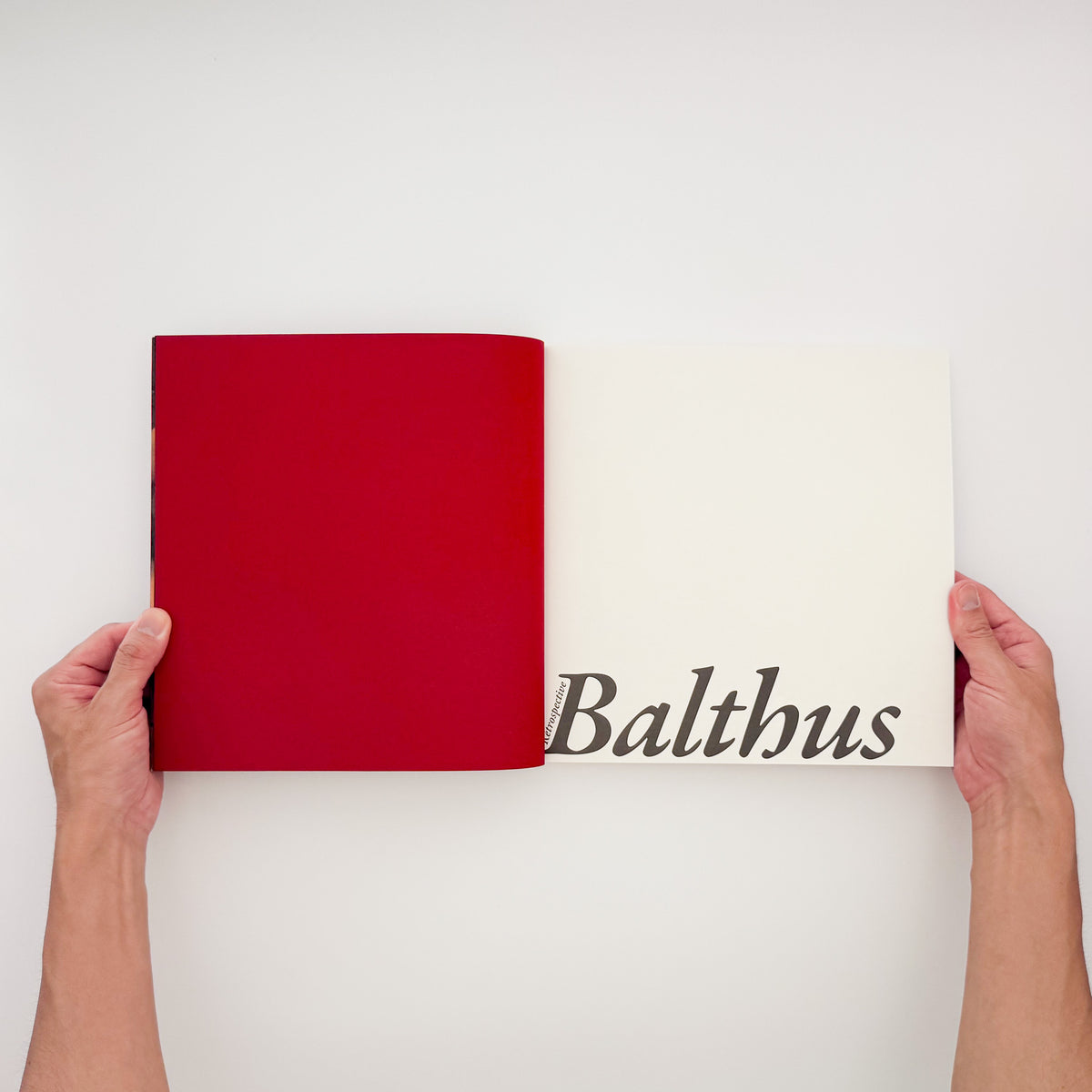 『バルテュス展 Balthus: A Retrospective』。2014年に東京都美術館・京都市美術館で開催された回顧展の図録。