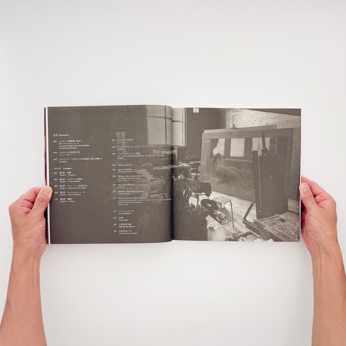 『バルテュス展 Balthus: A Retrospective』。2014年に東京都美術館・京都市美術館で開催された回顧展の図録。
