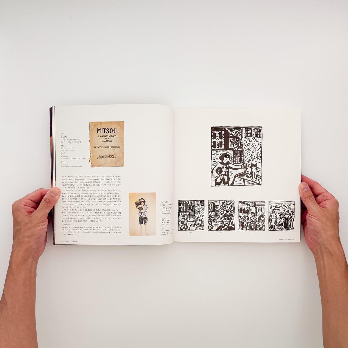 『バルテュス展 Balthus: A Retrospective』。2014年に東京都美術館・京都市美術館で開催された回顧展の図録。
