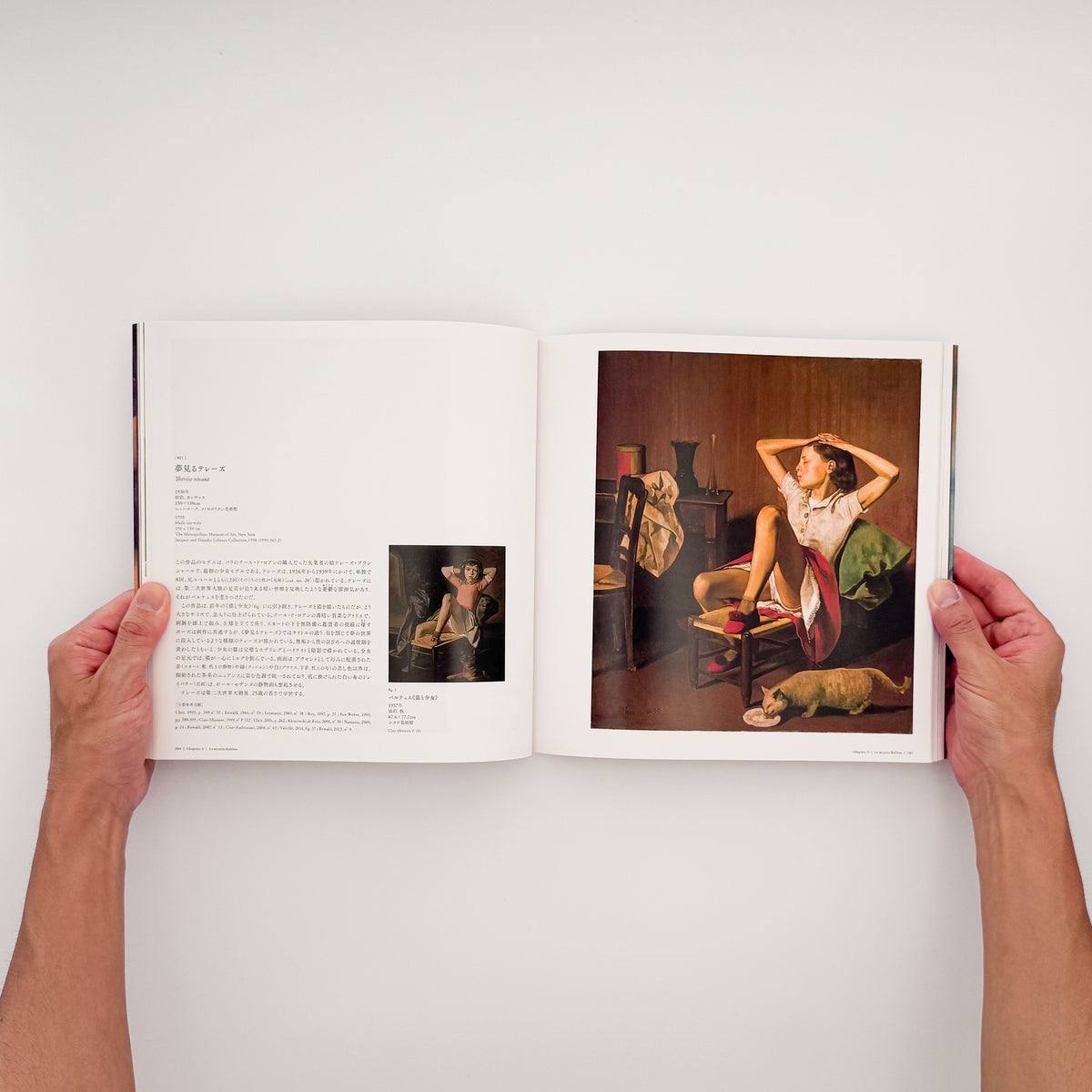 『バルテュス展 Balthus: A Retrospective』。2014年に東京都美術館・京都市美術館で開催された回顧展の図録。