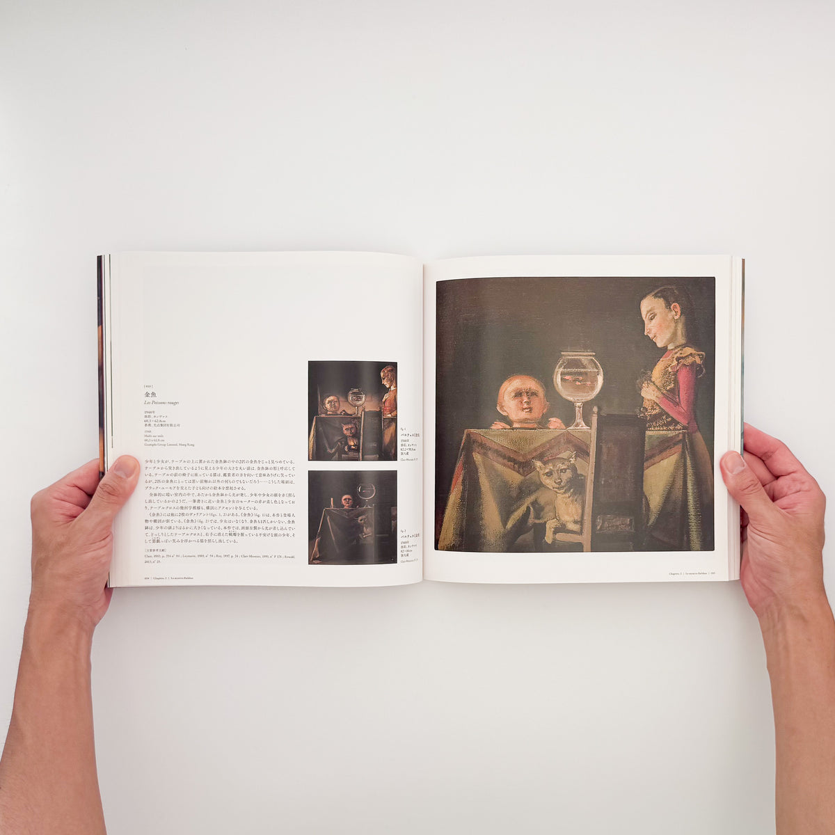 『バルテュス展 Balthus: A Retrospective』。2014年に東京都美術館・京都市美術館で開催された回顧展の図録。