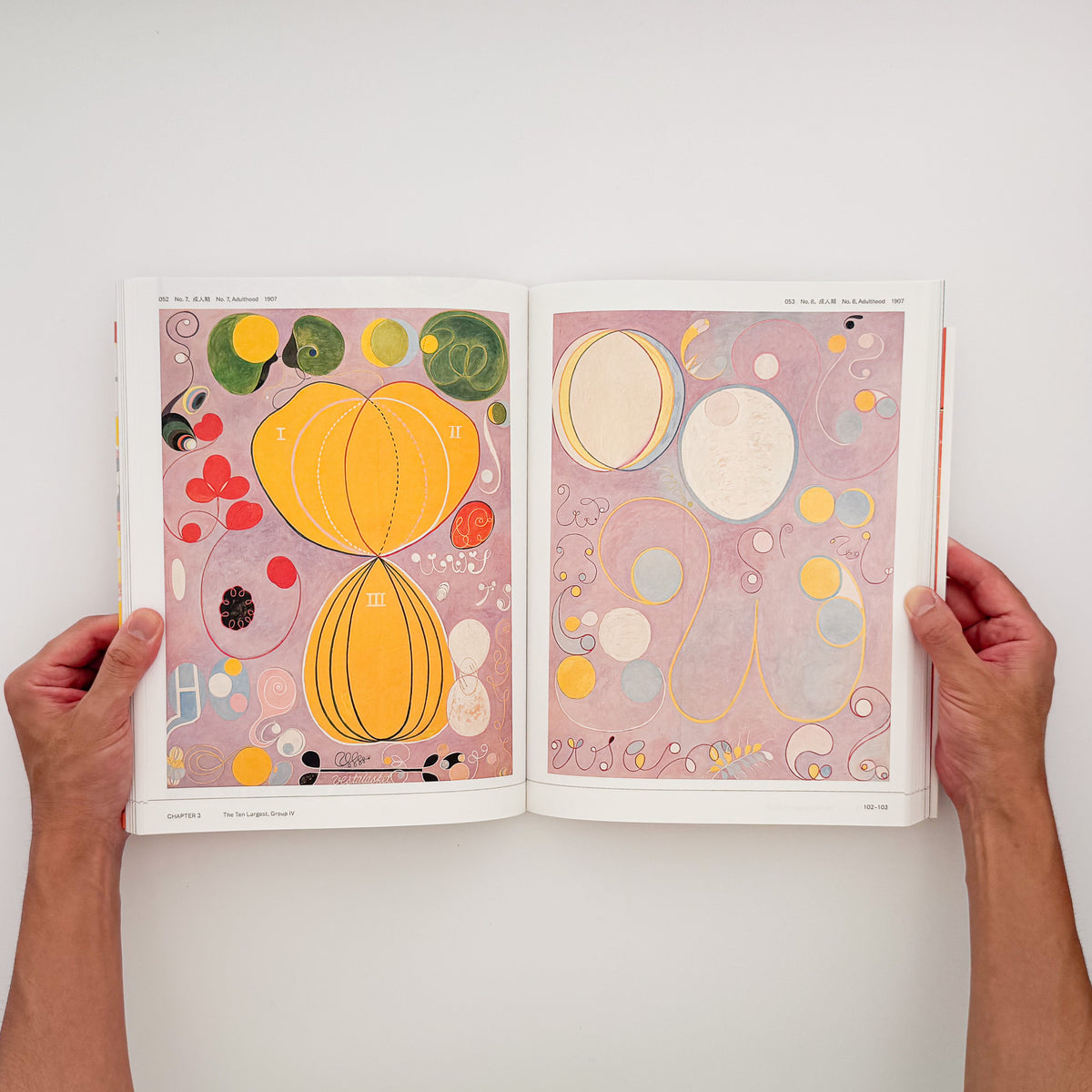 『ヒルマ・アフ・クリント展』図録。〈10の最大物〉をはじめ「神殿のための絵画」など約140点を収録した、東京国立近代美術館2025年開催展の公式カタログ。