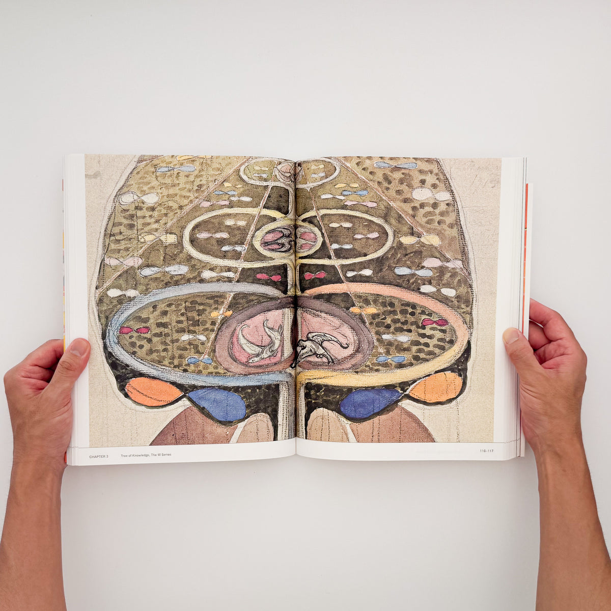 『ヒルマ・アフ・クリント展』図録。〈10の最大物〉をはじめ「神殿のための絵画」など約140点を収録した、東京国立近代美術館2025年開催展の公式カタログ。