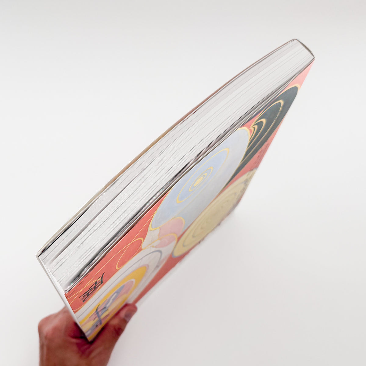 『ヒルマ・アフ・クリント展』図録。〈10の最大物〉をはじめ「神殿のための絵画」など約140点を収録した、東京国立近代美術館2025年開催展の公式カタログ。