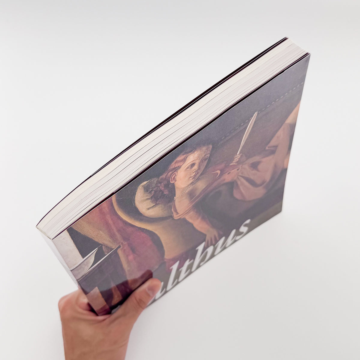 『バルテュス展 Balthus: A Retrospective』。2014年に東京都美術館・京都市美術館で開催された回顧展の図録。