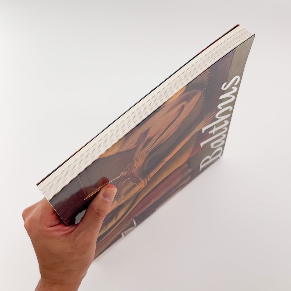 『バルテュス展 Balthus: A Retrospective』。2014年に東京都美術館・京都市美術館で開催された回顧展の図録。