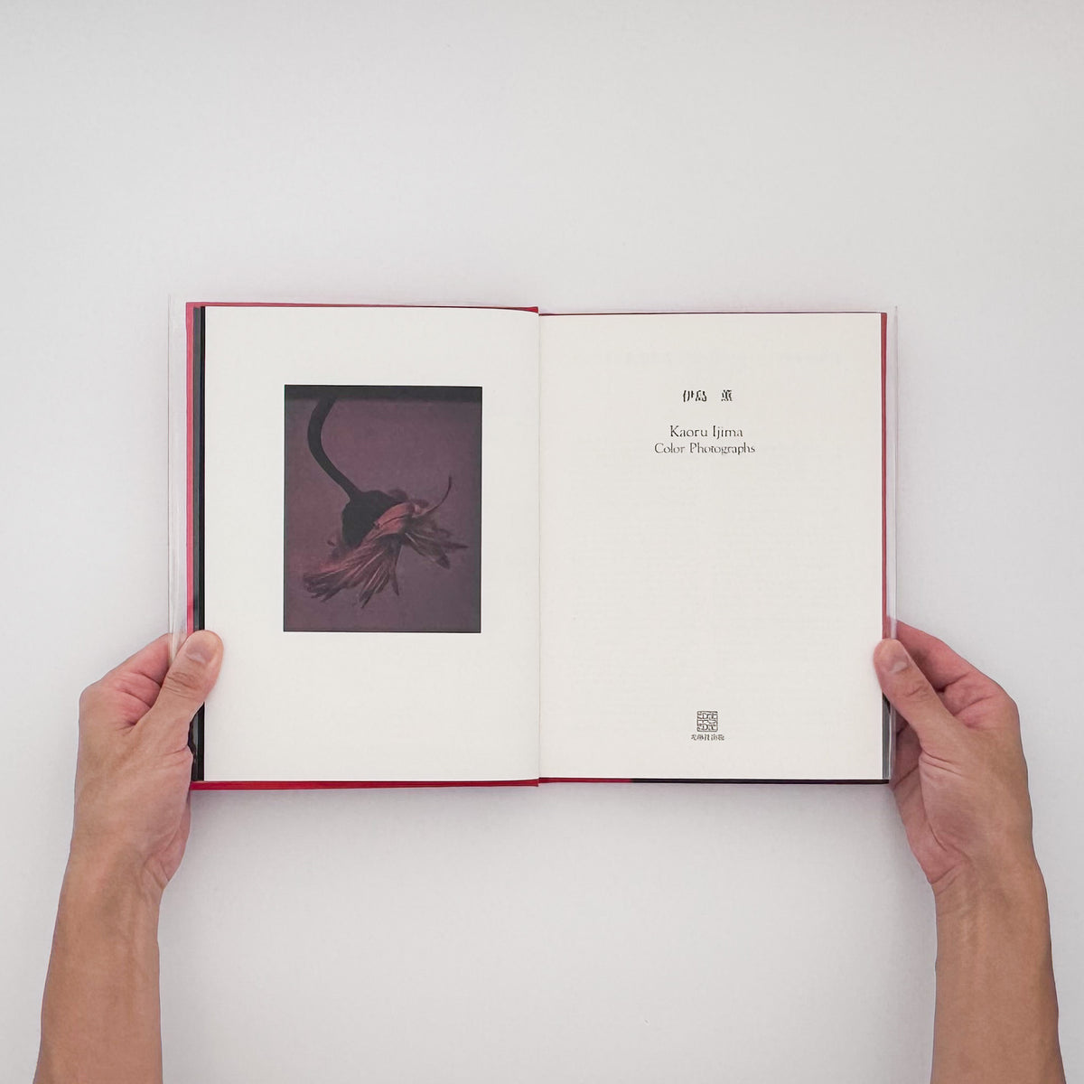 伊島薫『Color Photographs』。光琳社出版「EDGE TO EDGE」第7巻として1992年に刊行されたカラー写真集。