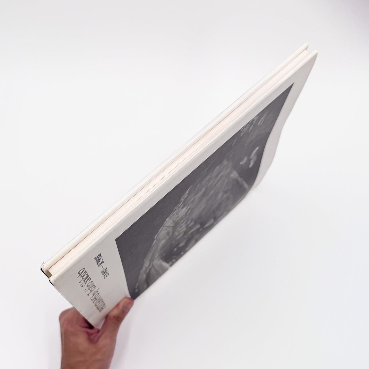 柴田敏雄『日本典型』。日本各地のダム、擁壁、砂防施設などの土木構造物を8×10の大型カメラで捉えた、1992年朝日新聞社刊の写真集。