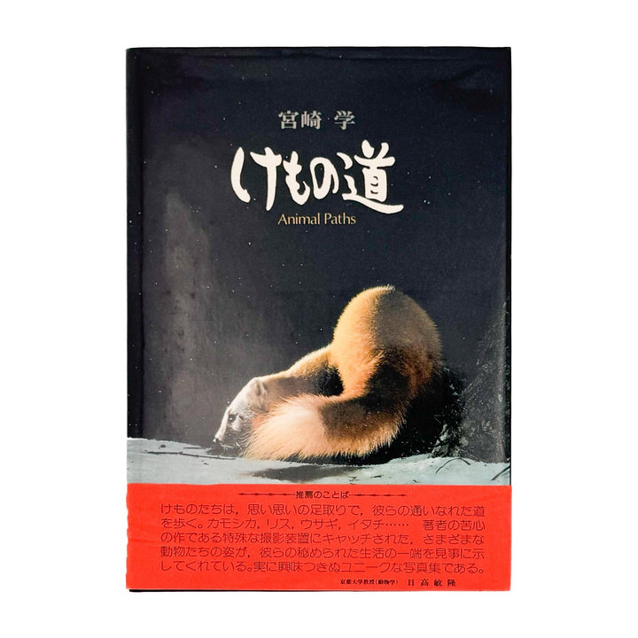 宮崎学　けもの道　Animal Paths - 宮崎学 / MIYAZAKI Manabu - 文福
