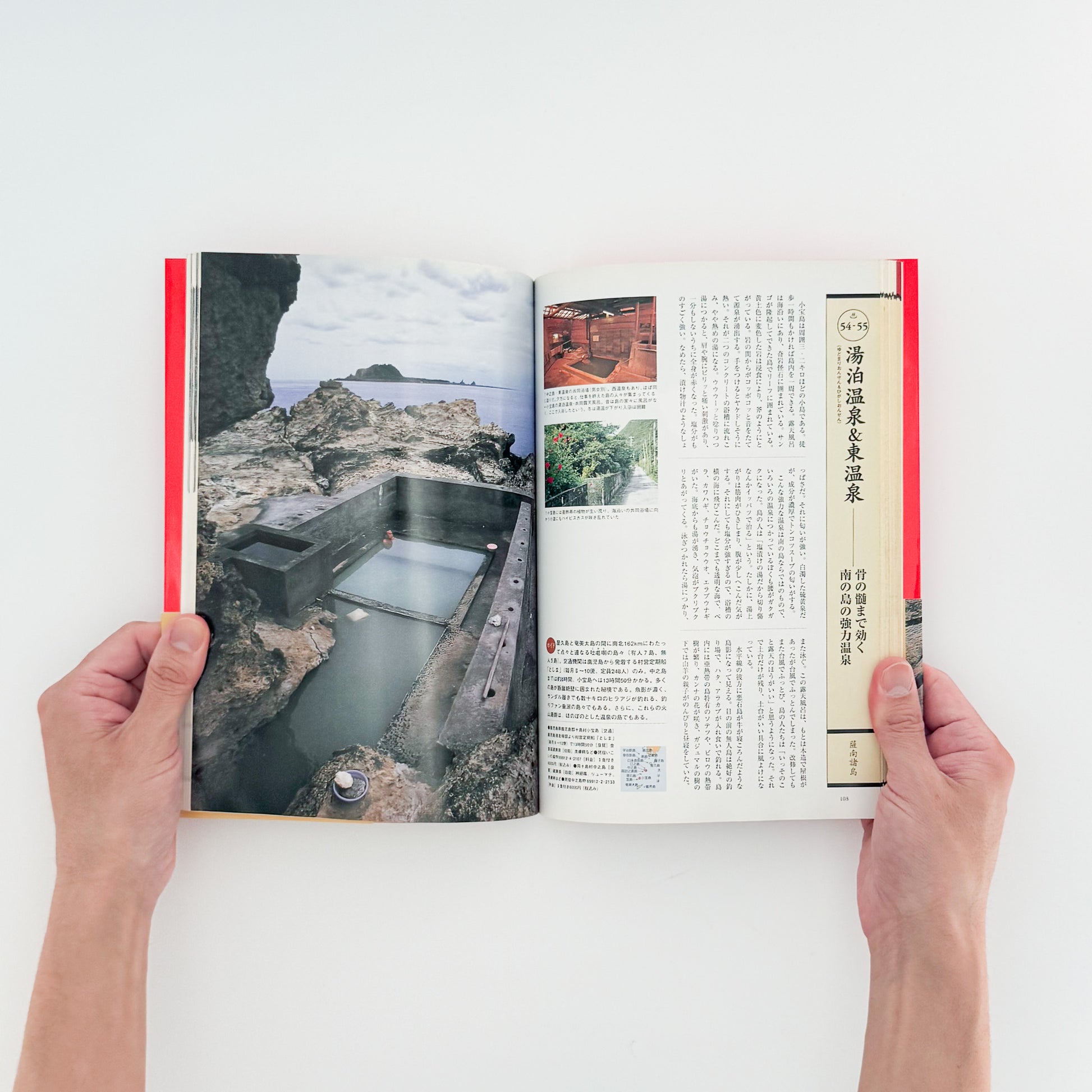 ARASHIYAMA Kozaburo / 嵐山光三郎『決定版（とっておき）快楽温泉201』北海道から薩南諸島まで、源泉や共同湯、伝統的な温泉宿を地域別に紹介した1999年講談社刊の温泉案内書。