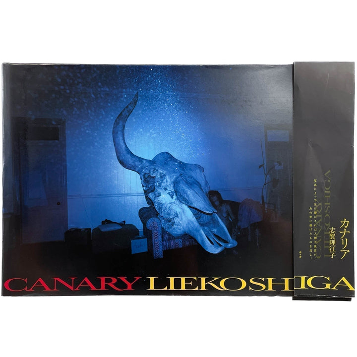 志賀理江子　カナリア / Canary - 赤々舎 - 文福