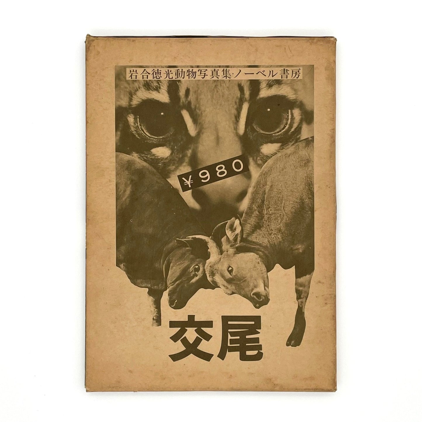 岩合徳光　交尾 - ノーベル書房 - 文福