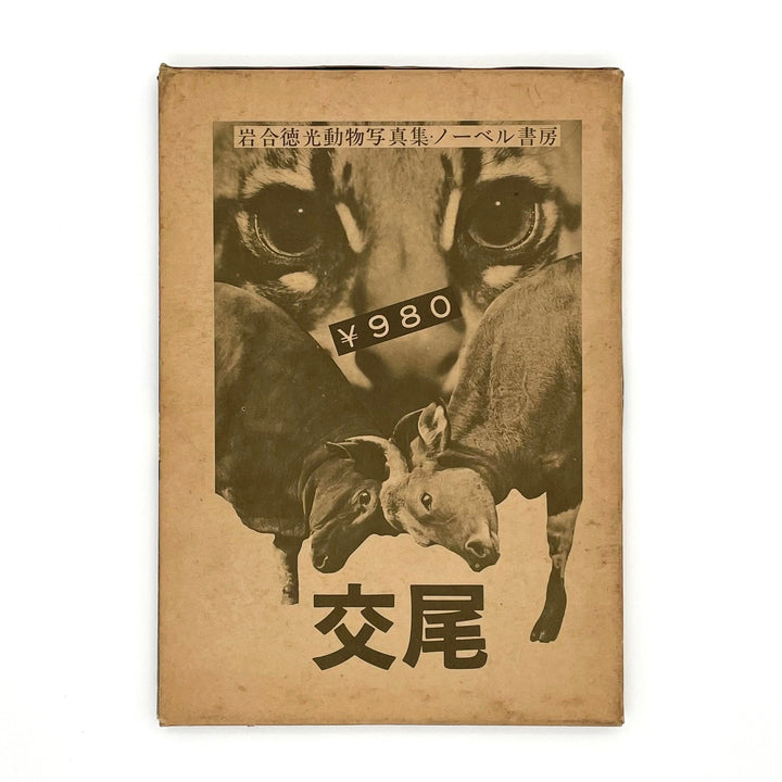 岩合徳光　交尾 - ノーベル書房 - 文福
