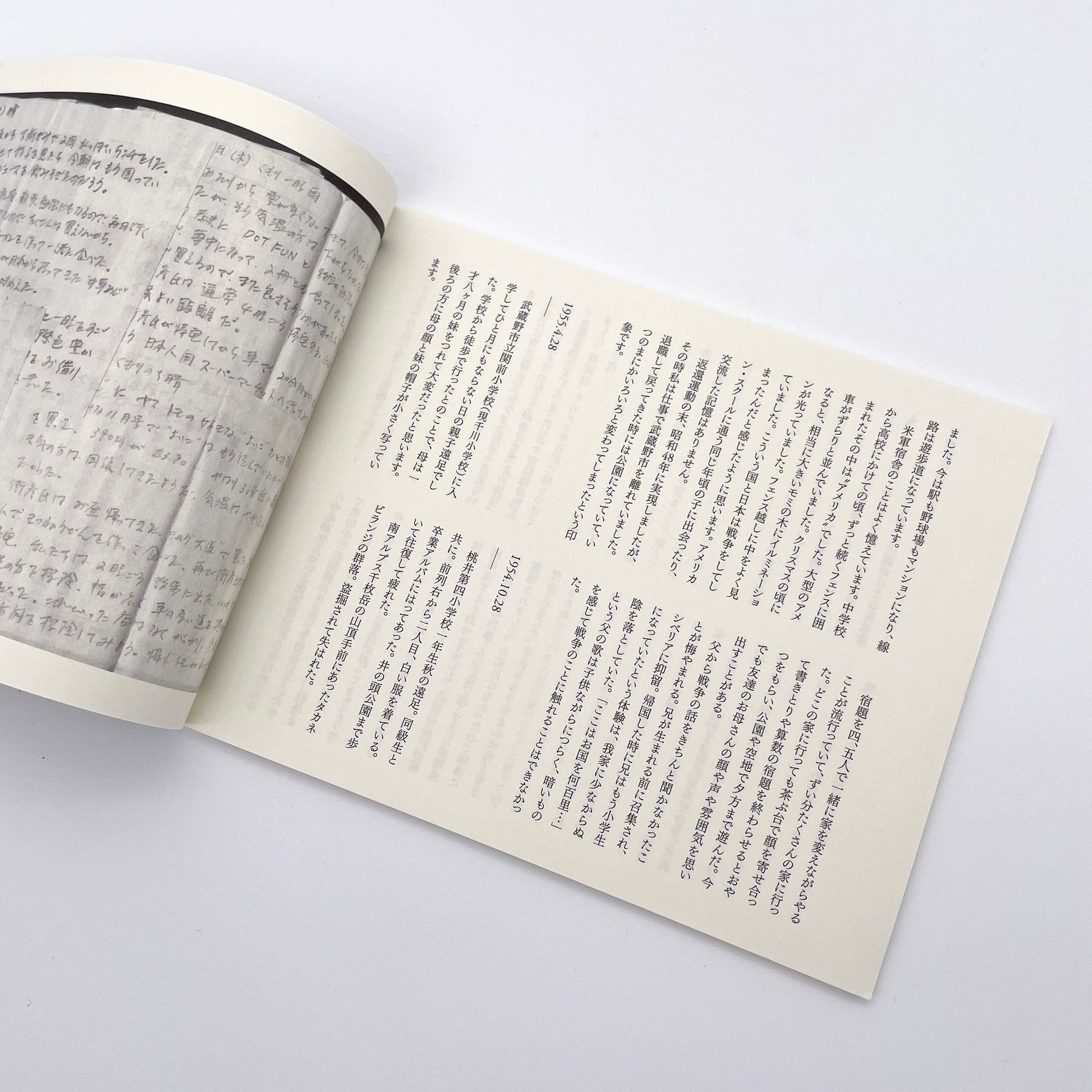 記録集 はな子のいる風景：イメージを（ひっ）くりかえす - 武蔵野市立吉祥寺美術館 - 文福