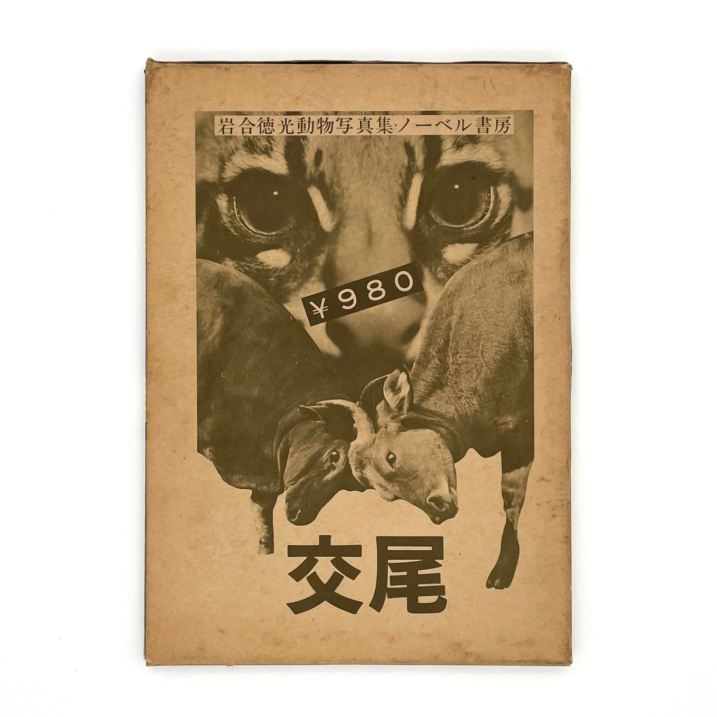 岩合徳光　交尾 - ノーベル書房 - 文福